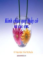 Bài soạn tiết 25: Dân số và sự gia tăng dân số