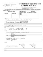 Bài giảng de thi casio năm 2010-2011 câp trường