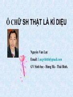 Bài soạn Ô CHỮ SH THẬT LÀ KÌ DIỆU
