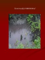 Bài giảng bài giảng bảo vệ MT