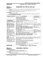 Tài liệu tuần 29 - 30