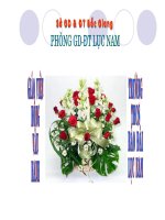 English 8: Unit 11: L2 Speak-Lf 34