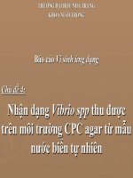 Báo cáo Vi sinh ứng dụng