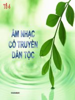 Tài liệu Âm nhạc cổ truyền dân tộc