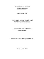 Phát triển doanh nghiệp nhỏ và vừa tại tỉnh gia lai