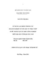 Sử dụng lao động trong các doanh nghiệp có vốn đầu tư trực tiếp nước ngoài tại các khu công nghiệp trên địa bàn tỉnh quảng nam 