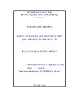 Nghiên cứu đánh giá một số dòng lúa triển vọng trên đất văn lâm   hưng yên 