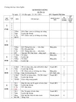 Bài giảng Kế hoạch bài dạy tuần 21