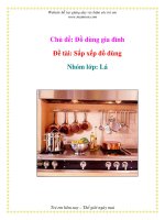 Chủ đề: Đồ dùng gia đình - Đề tài: Sắp xếp đồ dùng - Nhóm lớp: Lá