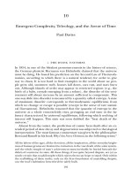 Emergent Complexity, Teleology, and the Arrow of Time