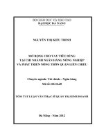 Mở rộng cho vay tiêu dùng tại chi nhánh ngân hàng nông nghiệp và phát triển nông thôn quận liên chiểu 