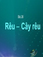 Tài liệu bai giang sinh hoc 6 tiết 38