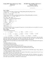 Bài soạn de hsg lop 10