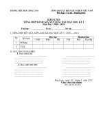 Tài liệu MẪU BIỂU TỔNG HỢP XL 2 MẶT HỌC KỲ I NĂM HỌC 2010-2011