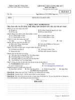 Đề thi học kỳ I Tin9 pro