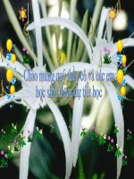 Bài giảng toán 8 Hình Bình Hành