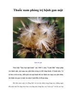 Thuốc nam phòng trị bệnh gan mật