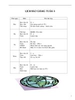 Bài soạn GIAO AN T3