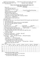 HƯỚNG DẪN SƠ KẾT TỔ KÌ I