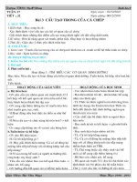 Gián án tuần 17 tiết 32