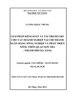 Giải pháp kiểm soát và tài trợ rủi ro cho vay doanh nghiệp tại chi nhánh ngân hàng nông nghiệp và phát triển nông thôn quận sơn trà  thành phố đà nẵng 