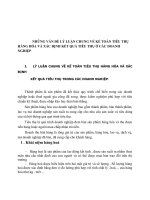 NHỮNG VẤN ĐỀ LÝ LUẬN CHUNG VỀ KẾ TOÁN TIÊU THỤ HÀNG HÓA VÀ XÁC ĐỊNH KẾT QUẢ TIÊU THỤ Ở CÁC DOANH NGHIỆP