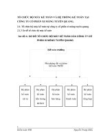 TỔ CHỨC BỘ MÁY KẾ TOÁN VÀ HỆ THỐNG KẾ TOÁN TẠI CÔNG TY CỔ PHẦN XI MĂNG TUYÊN QUANG