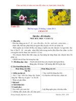 Gián án Giao an 3 tuan22 (CKTKN)