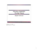 Intrusion Detection The Big Picture