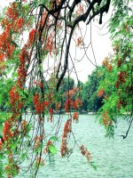 Bài soạn PHUONG TRINH DUONG THANG