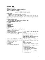 Tài liệu giáo án buổi chiều tuần 18