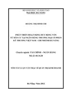 Phát triển hoạt động huy động vốn từ dân cư tại ngân hàng thương mại cổ phần kỹ thương việt nam   chi nhánh đà nẵng 