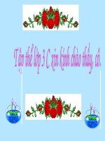 LT&C tuần 17: MRVT các dân tộc- Luyện đặt câu có hình ảnh so sánh