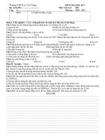 Bài soạn Kiem tra Hoc kỳ 1