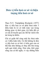 Đơn vị tiến hoá cơ sở và hiện tượng tiến hoá cơ sở