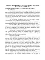 PHƯƠNG PHáP ĐáNH GIá CHấT LƯợng tín dụng của  ngân hàng thương mại