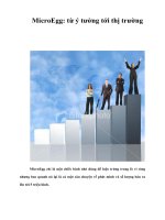 MicroEgg: từ ý tưởng tới thị trường