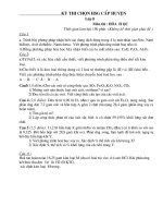 Gián án de thi HSG Hoa 8