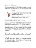 Leadership và công thức 4+2
