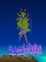 H8-Tiet 27-Dien tich hinh chu nhat (Thi GVG)