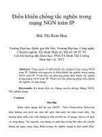 Điều khiển chống tắc nghẽn trong  mạng NGN toàn IP