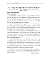 THỰC TRẠNG CHO VAY DOANH NGHIỆP VỪA VÀ NHỎ TẠI CHI NHÁNH NGÂN HÀNG NÔNG NGHIỆP VÀ PHÁT TRIỂN NÔNG THÔN LÁNG HẠ