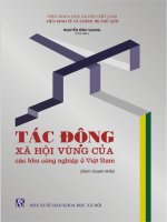 Tác động xã hội vùng của các khu công nghiệp ở Việt Nam