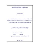 Phân lập, xác định một số vi khuẩn gây viêm phổi kế phát trong hội chứng rối loạn hô hấp sinh sản ở lợn (PRRS) và đề xuất giải pháp phòng bệnh 