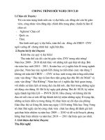 Tài liệu Chuong trinh hoi nghi CBCCVC