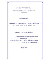 Luận văn chọn dòng thuần bố mẹ của một số tổ hợp lúa lai ba dòng chất lượng cao 