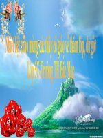 Bài giảng Nhà tài trợ đặc biệt của CM