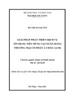 Giải pháp phát triển dịch vụ tín dụng tiêu dùng tại ngân hàng thương mại cổ phần á châu (ACB) 