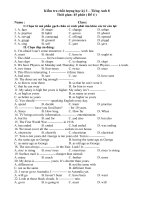 de thi hoc ki 1 -anh 8 -trac nghiem 100%