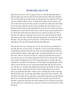 Bài giảng Sự tích trầu